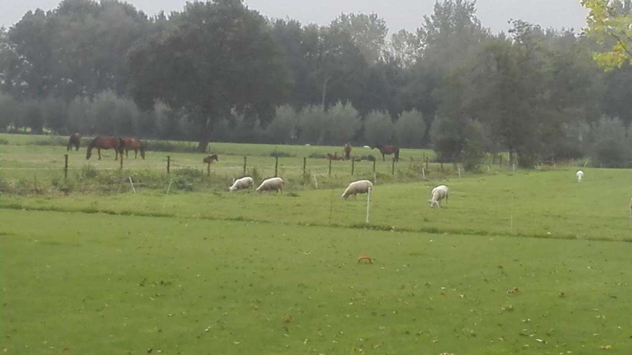 Sint-Oedenrode De Weije Wereld B&B 외부 사진