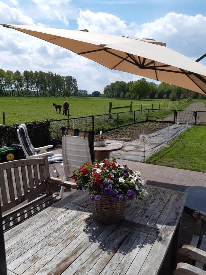Sint-Oedenrode De Weije Wereld B&B 외부 사진