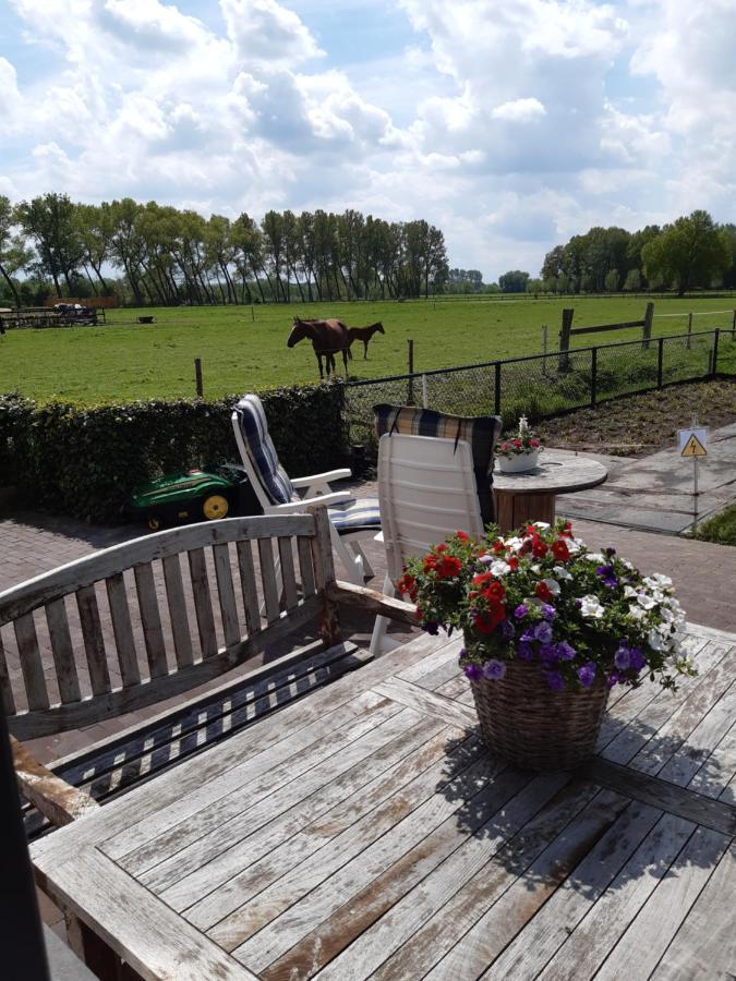 Sint-Oedenrode De Weije Wereld B&B 외부 사진